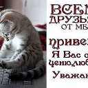 ���� �����, �������, 63 ���� - ��������� 11 ������ 2015 � ������ ������ ��������