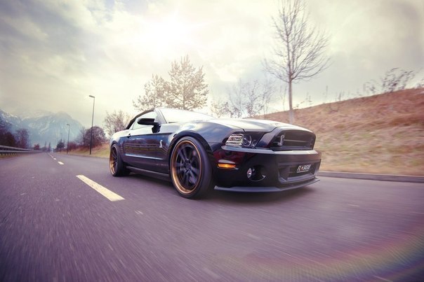 Shelby GT500 - 7