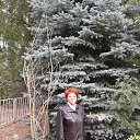 ���� �������, ����������� - ��������� 26 ������ 2015 � ������ ���� ����������