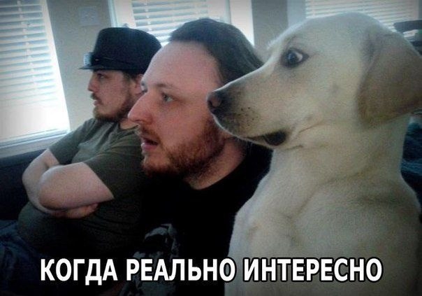 ������������ ���� - 27 ����� 2015 � 15:33