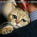 ���� �������, �������, 64 ���� - ��������� 4 ������ 2015 � ������ ������ ��������