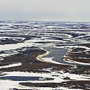 ������ �� ������� ���� ����������