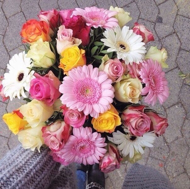   - 18  2015  14:27 - 3