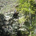 ���� ����� ������, ���������������, 43 ���� - ��������� 16 ������� 2014 � ������ ���� ����������