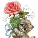 ���� ����, �����������, 35 ��� - ��������� 3 ������ 2015 � ������ �Har xil�