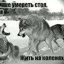 ���� ���������, ������� - ��������� 5 ������ 2015 � ������ ������ ��������