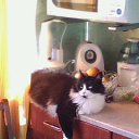 ���� ������, ������, 72 ���� - ��������� 29 ����� 2015 � ������ ���� ����������