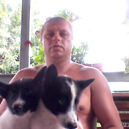 ���� ����, �������, 49 ��� - ��������� 6 ������ 2015