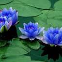 ���� ����, ������ - ��������� 22 ������� 2014 � ������ ���� ����������