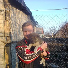 �����, ���������, 40 ���