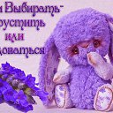 ���� ��������, ��������� - ��������� 17 ������� 2015 � ������ ����������� ������