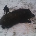 ���� �������, ����, 50 ��� - ��������� 28 ������� 2014