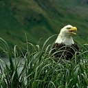 ���� Kolya, ����, 52 ���� - ��������� 12 ������� 2015 � ������ ���� ����������