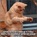 ���� ����, ��������, 59 ��� - ��������� 3 ����� 2015 � ������ ������ ��������
