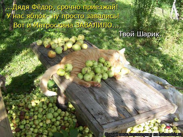 K K - 18  2015  10:03