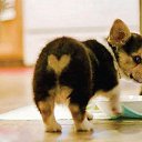 ���� ������, ���������, 45 ��� - ��������� 22 ������ 2015 � ������ ������ ��������