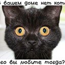 ���� �����, ����������� - ��������� 6 ������ 2015 � ������ ������ ��������