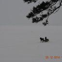 ���� �������, ����� - ��������� 27 ������� 2014 � ������ ������ ��������