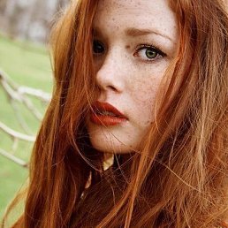 �����, ���������