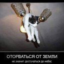 ���� ������, ���������, 49 ��� - ��������� 7 ������ 2015 � ������ ������ ��������