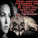 ���� �����, �����, 53 ���� - ��������� 26 ������� 2014 � ������ ������ ��������