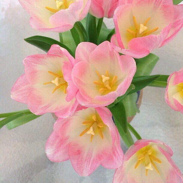   |  |  - 18  2015  23:03 - 2