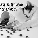 ���� ��������, ��������, 70 ��� - ��������� 8 ������ 2015 � ������ �������� ��������