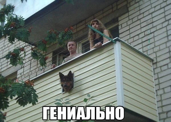 ������������ ���� - 24 ������� 2015 � 22:50