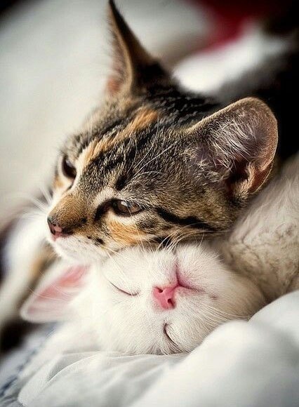       - 7  2015  07:03 - 3