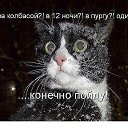 ���� �����, ������, 53 ���� - ��������� 11 ������ 2015 � ������ ������ ��������