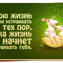 ���� �������, ������-������� - ��������� 3 ������� 2015