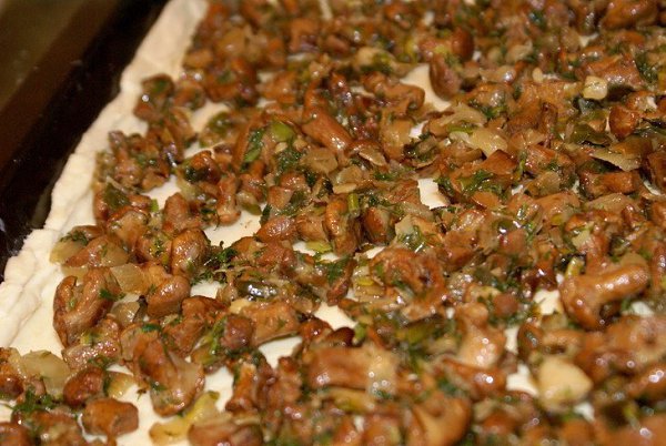     . :  100   100    0,5 . .  ... - 5