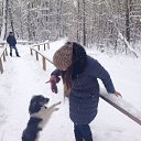 ���� �����, �������, 36 ��� - ��������� 3 ������ 2015 � ������ ������ ��������