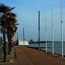 ���� Sveta, ���� - ��������� 7 ������ 2015 � ������ ������� 2015.����.�