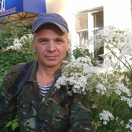 ��������, ������, 65 ���