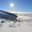 ���� �����, ����� - ��������� 28 ������� 2015 � ������ ���� ����������