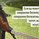 ���� ������, ������, 66 ��� - ��������� 12 ������ 2015 � ������ ������ ��������