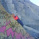 ���� �����, ���������� - ��������� 19 ������ 2015 � ������ ���� ����������