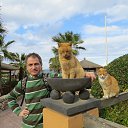 ���� Roman, ���� - ��������� 16 ������� 2014 � ������ �������