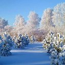 ���� ����, �����-���������, 35 ��� - ��������� 4 ������� 2015