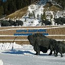 ���� ����, ���������, 44 ���� - ��������� 26 ����� 2015 � ������ ���� ����������