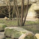 ���� �������, �����������, 72 ���� - ��������� 6 ������� 2015 � ������ ��������.�������.2011�