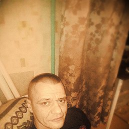 ���� ����, ����, 49 ��� - ��������� 1 ������� 2015