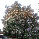 ���� Aleksandr, ��������, 55 ��� - ��������� 28 ������� 2015 � ������ ������� ���