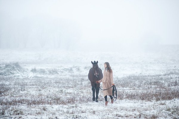ph ������� �����.model ����� �������� - 9