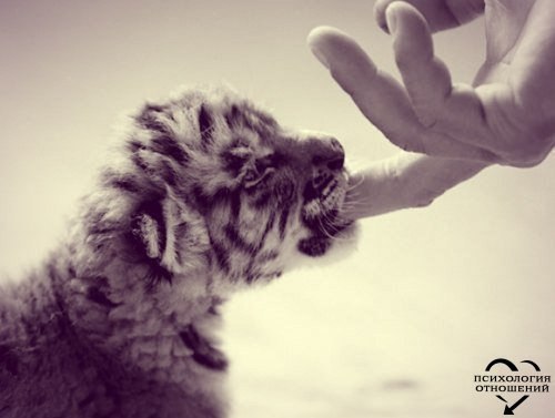       ,   ,    .  ,    ...