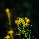 ���� ���������, ��������, 34 ���� - ��������� 8 ������ 2015 � ������ ����� 2�