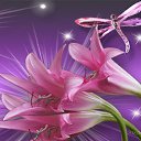 ���� ��������, �����������, 34 ���� - ��������� 15 ������� 2015 � ������ ���� ����������