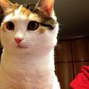 ���� �������, ������, 80 ��� - ��������� 26 ������� 2014