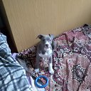 ���� ������, ������, 48 ��� - ��������� 17 ������� 2015